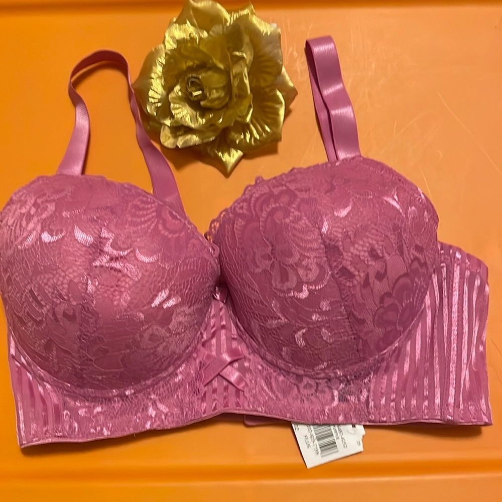Secret Lace Plus Size Bra - Size 40C
